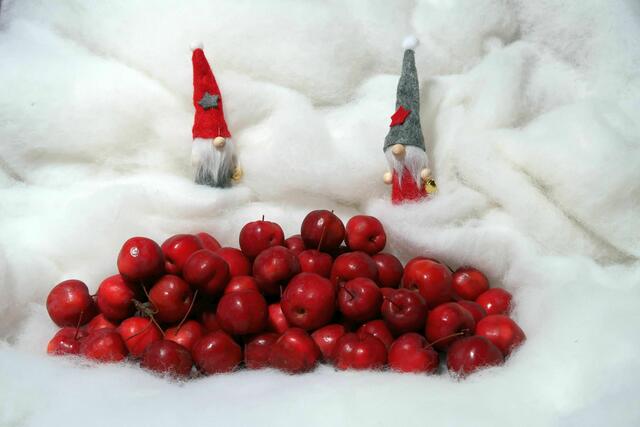 Weihnachtliche Apfelwichtel