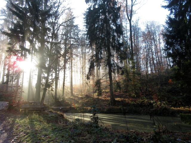 Das Koppenbrünnele
