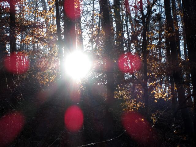 Lichtspiele
