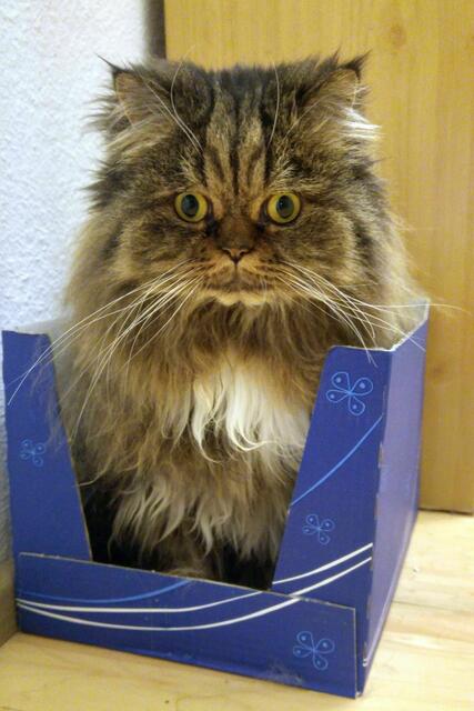 Dann hatte sie die falsche Schachtel gewählt und ich nur mein Handy parat.