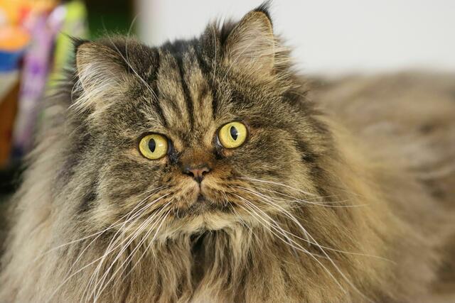 ... mit ihr wollte ich am Gewinnspiel teilnehmen.