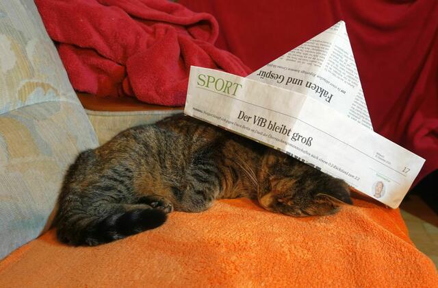 Dann nahm ich mir Mimmi vor. Sie durfte nach dem Sport wohlbehütet einschlafen ;-)