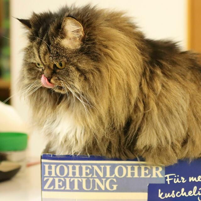 ... die Schachtel schmackhaft machen und ...