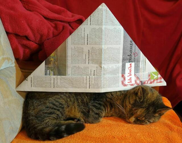 ... doch lieber zu Hause.