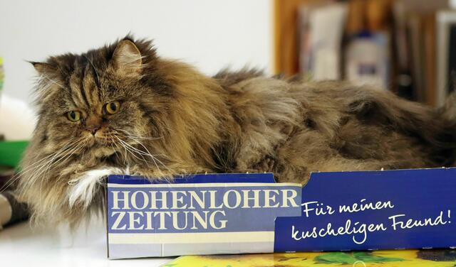 ... sie breitete sich darin aus, soweit der Platz halt reichte ;-)