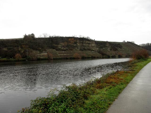 Das Wasser auf dem Neckar kräuselt sich im Wind, Im Hintergrund der Krappenfelsen.