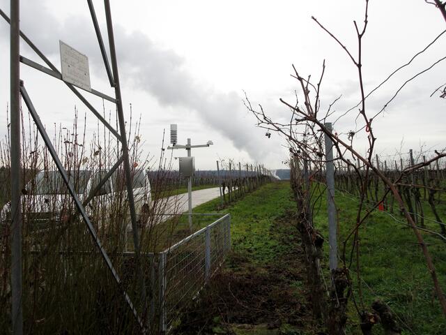An der Agrar-meteorologischen Station der EnBW sammelten gerade zwei junge Damen die Daten ein. Sie erklärten uns bereitwillig, dass die Station wegen des GKN betrieben wird, um festzustellen, ob der Schatten, den die Dampfwolke wirft, sich auf die Weinstöcke auswirkt bzw. für mehr Nässe und dadurch Fäulnis sorgten könnte. Das trifft aber wohl nicht zu.
