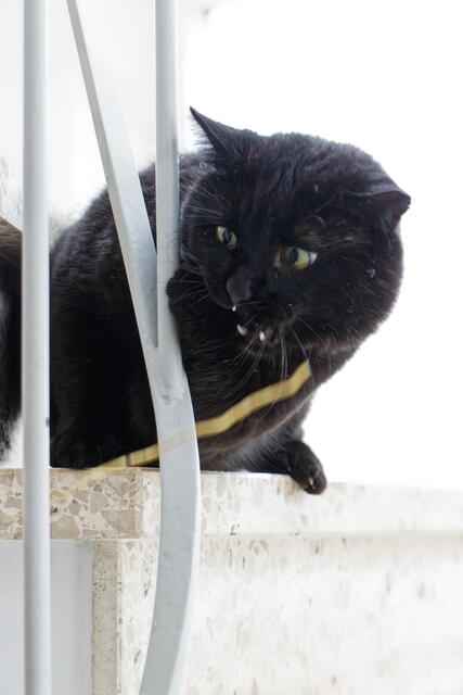 gleich werd ich sauer!