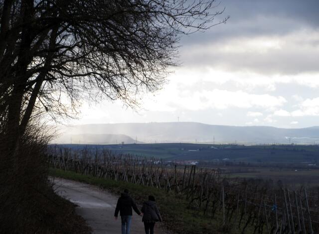 Der Stromberg in einem ganz besonderen Licht