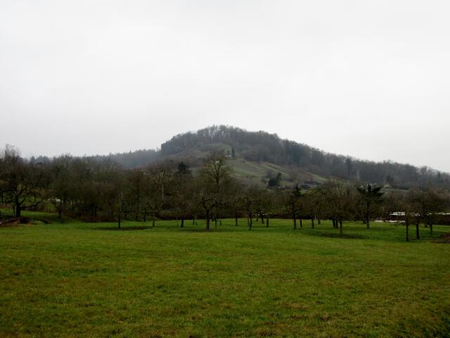 Ein Blick zurück über Streuobst in den Himmel