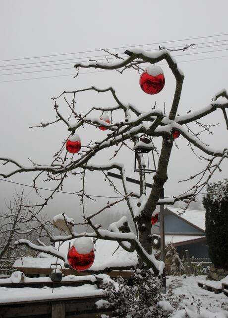 Am 6. Januar im trüben Wetter, die roten Kugeln passen wunderbar in das Grau