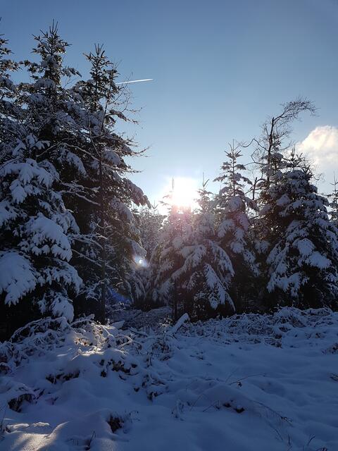 Wer Sonne sucht, kann sie finden