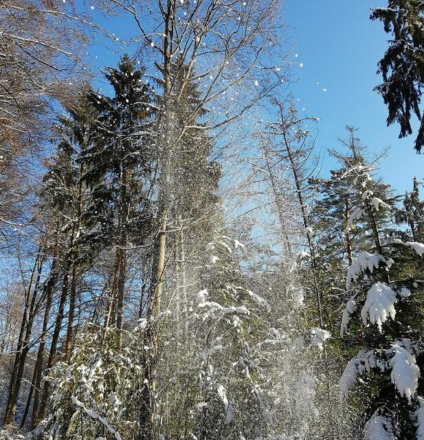 Sonne und Schnee - eine tolle Kombination