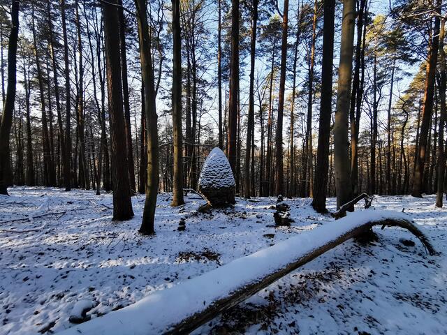 Im Wald war es sehr schattig und kalt