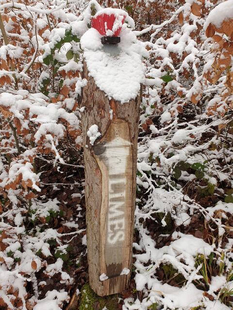 Erster Schnee am 07.01.2021, ein Römer steht im Walde
