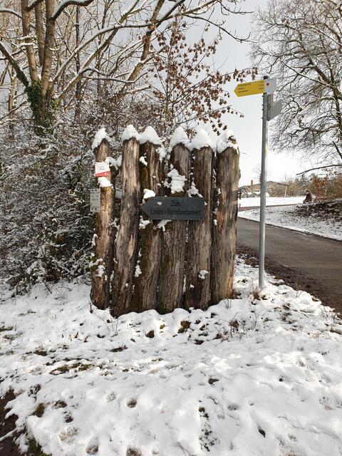 Erster Schnee am 07.01.2021