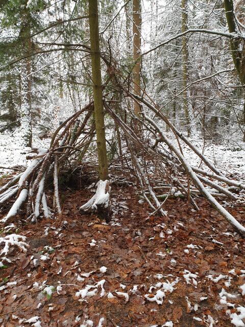 Erster Schnee am 07.01.2021