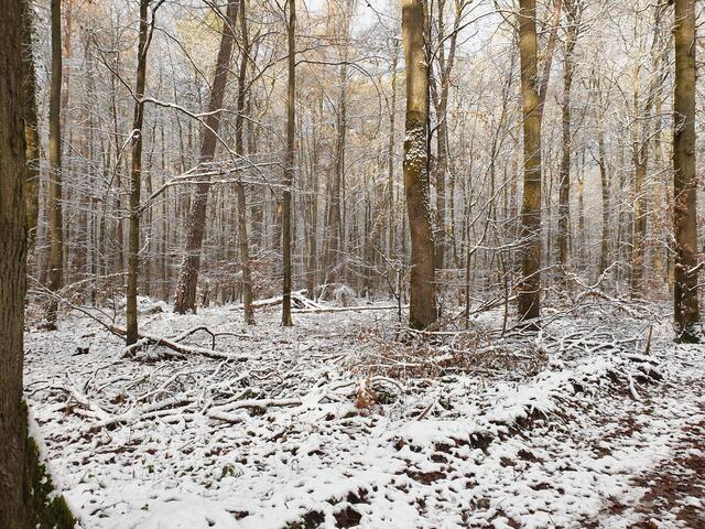Erster Schnee am 07.01.2021