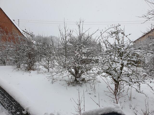 Schneefall am 12.01.2021
