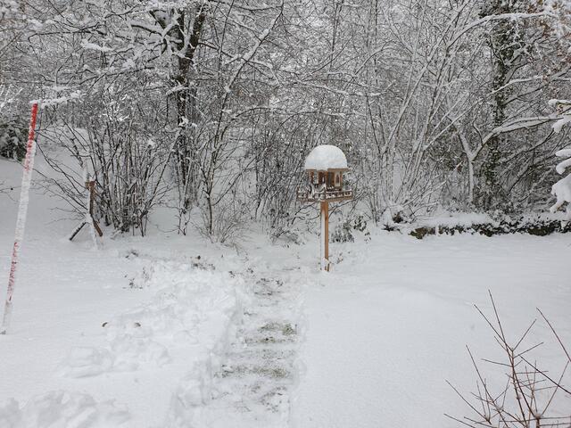 Die Vogelvilla am 12.01.2021