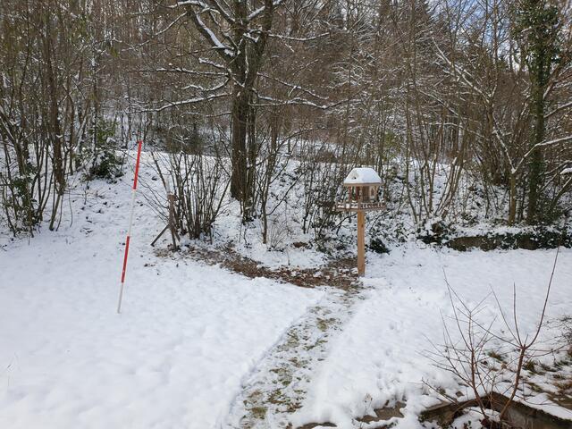 Vogelvilla am 10.01.2021