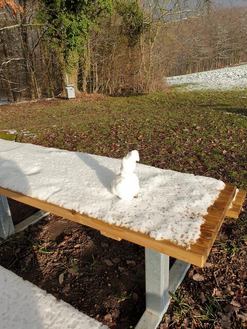Erster Schnee am 07.01.2021, ein kleiner Schneemann am Grillplatz