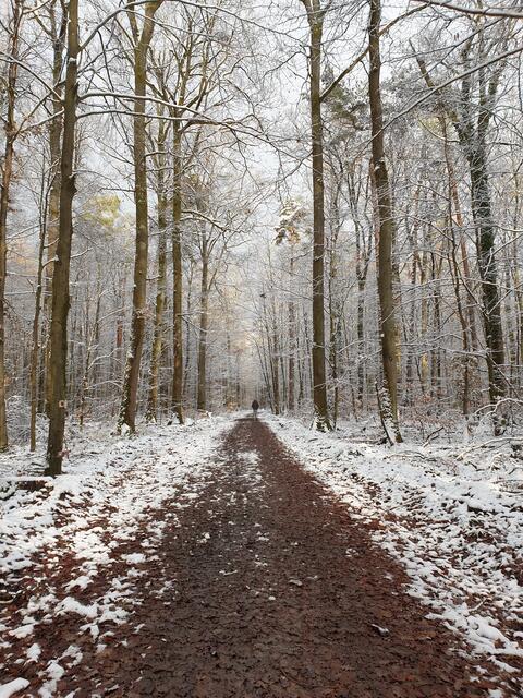 Erster Schnee am 07.01.2021