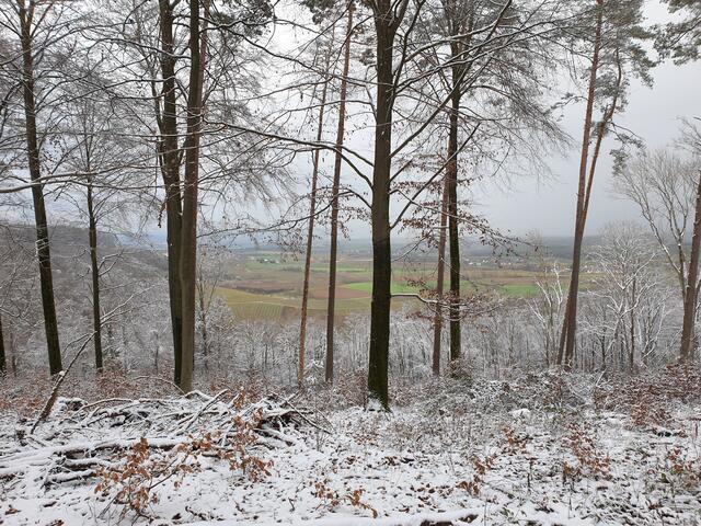 Erster Schnee am 07.01.2021 Hinterespig, Vorderespig und Griet