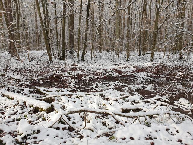 Erster Schnee am 07.01.2021