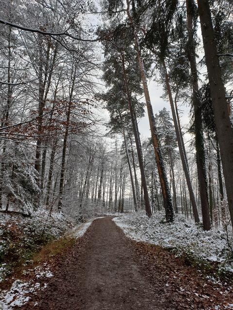 Erster Schnee am 07.01.2021