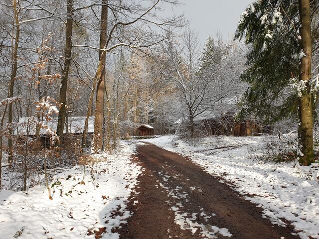 Erster Schnee am 07.01.2021 Römerturmhütte