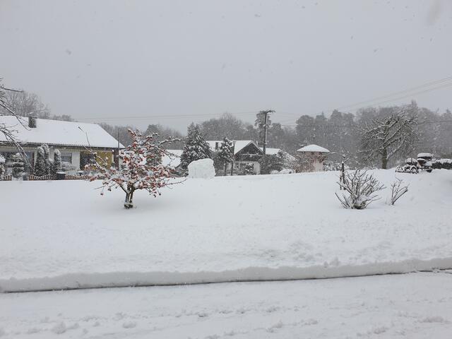 Schneefall am 12.01.2021