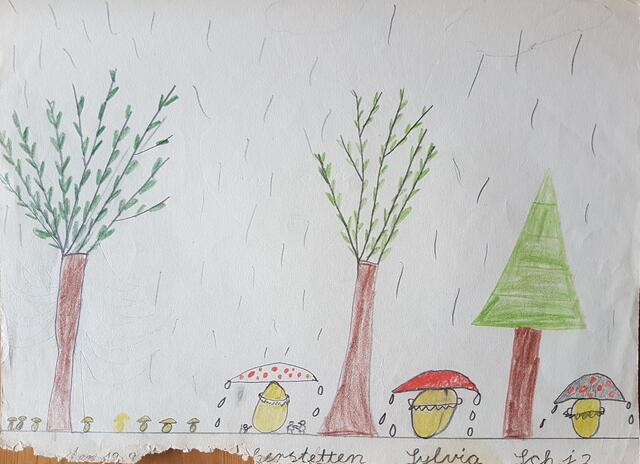 Tja das war ein Regentag und die kleinen Waldwichtel haben Unterschlupf bei großen Pilzen gesucht, nicht bei den kleinen ;-) Dieses Bild wurde am Rand bereits schon von hungrigen Mäuslein angenagt...