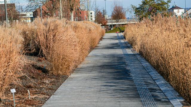 Neckarbogen Heilbronn - BuGa Gelände