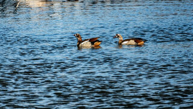 Neckarbogen Heilbronn - BuGa Gelände