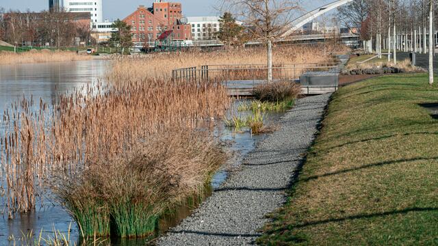 Neckarbogen Heilbronn - BuGa Gelände