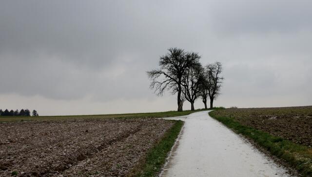 Ein wenig trist, aber interessant. Hauptsache raus, Bewegung und frische Luft wirkt Wunder.