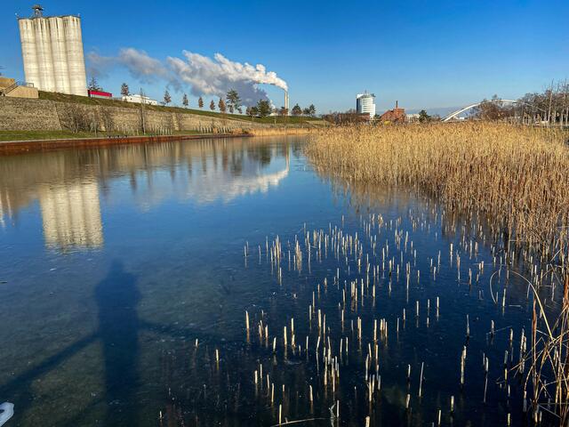 Neckarbogen Heilbronn - BuGa Gelände
