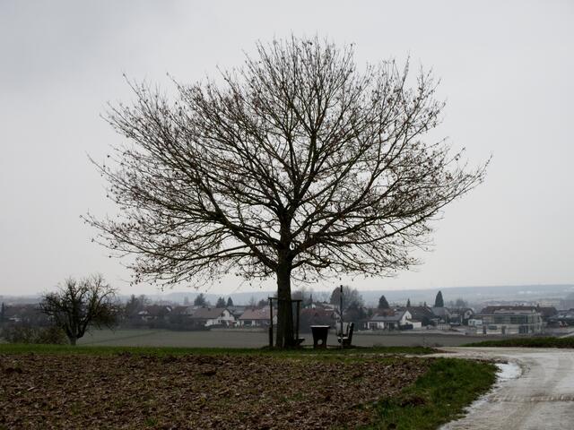 Diesen Platz hat Elke Pfeifer als Rätsel eingestellt, man sieht im Hintergrund die ersten Häuser von Bad Wimpfen.