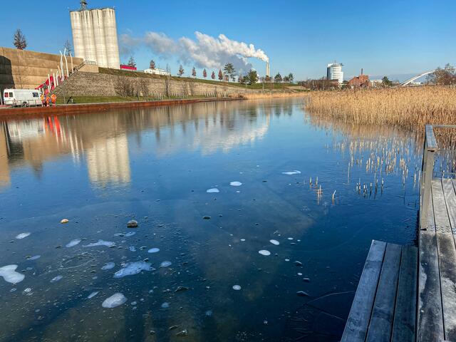 Neckarbogen Heilbronn - BuGa Gelände