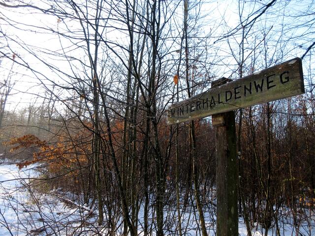 Der Winterhaldenweg macht in 2021 seinem Namen Ehre. Endlich mal wieder Schnee in Heilbronn