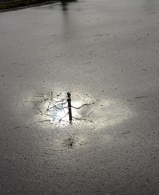 Lichtblick im Grau der Großstadt