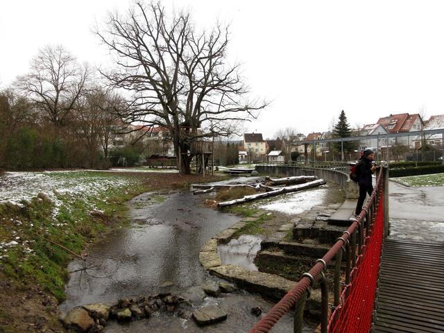 Nordheim am 26. Januar