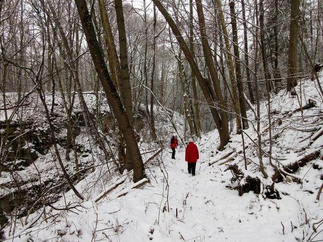 Spuren im Schnee, fast knöchelhoch
