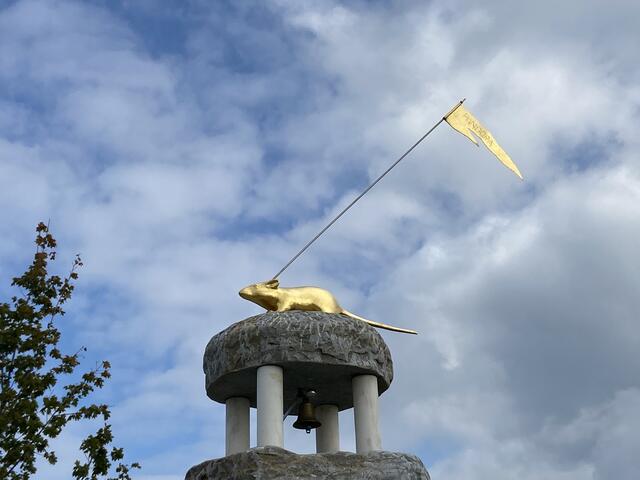 Die Ratte - klein aber oho!