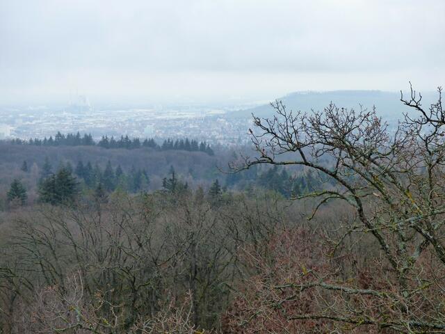 Leider war die Aussicht an diesem Tage sehr diesig und somit keine gute Fernsicht. Aber trotzdem schön.....