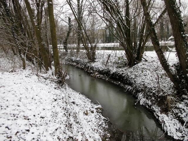 Auch die Schozach, trotzdem sie fließt bereits mit dünner Eisdecke.
