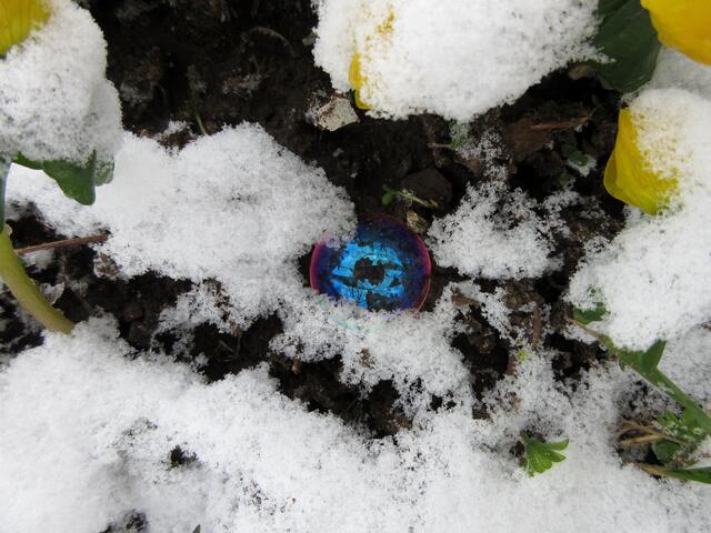 Erst Farbe, dann gefrieren