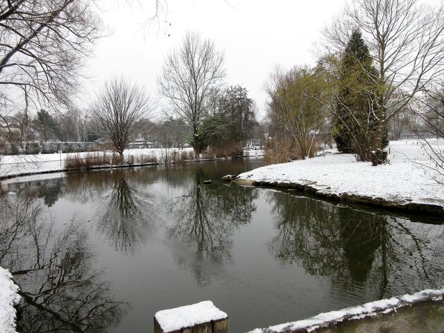 Mitten in der Stadt und doch in der Natur