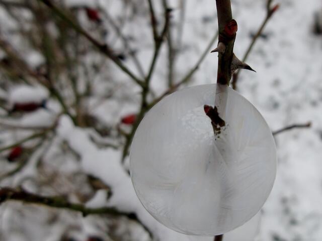 Dann gefroren, wunderschön